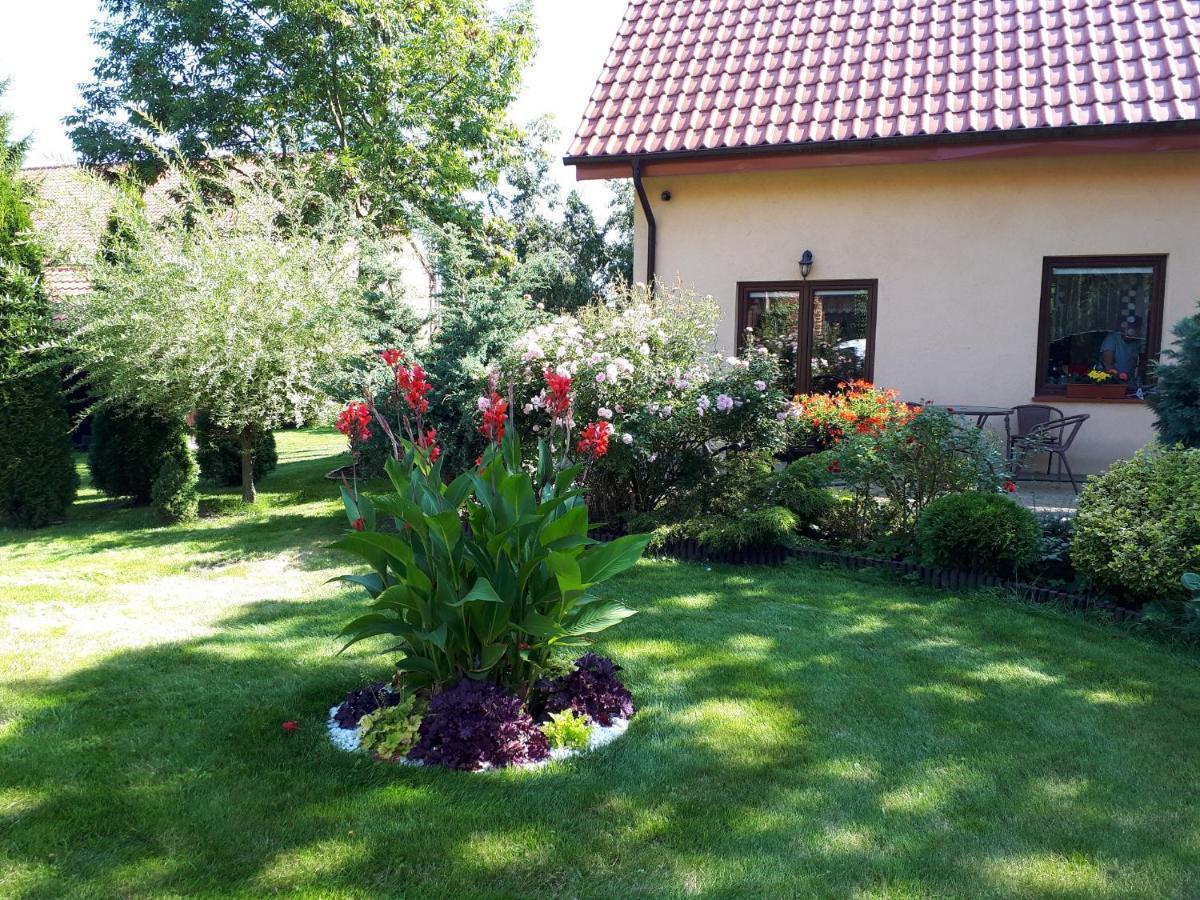 Agroturystyka Druzno Elblag Ngoại thất bức ảnh