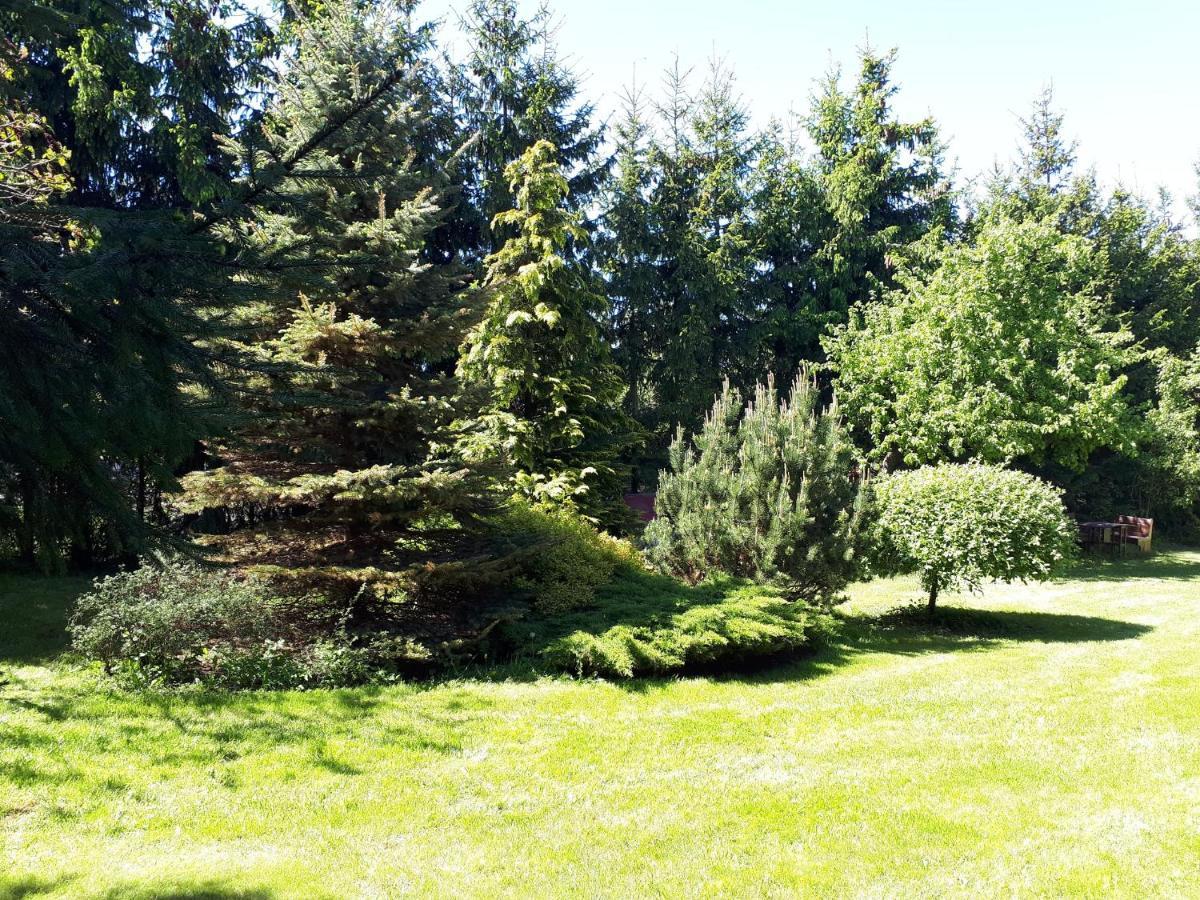 Agroturystyka Druzno Elblag Ngoại thất bức ảnh