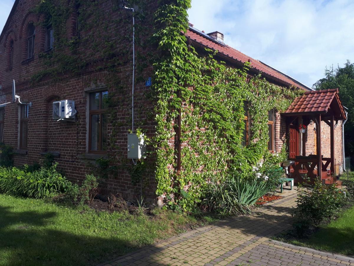 Agroturystyka Druzno Elblag Ngoại thất bức ảnh