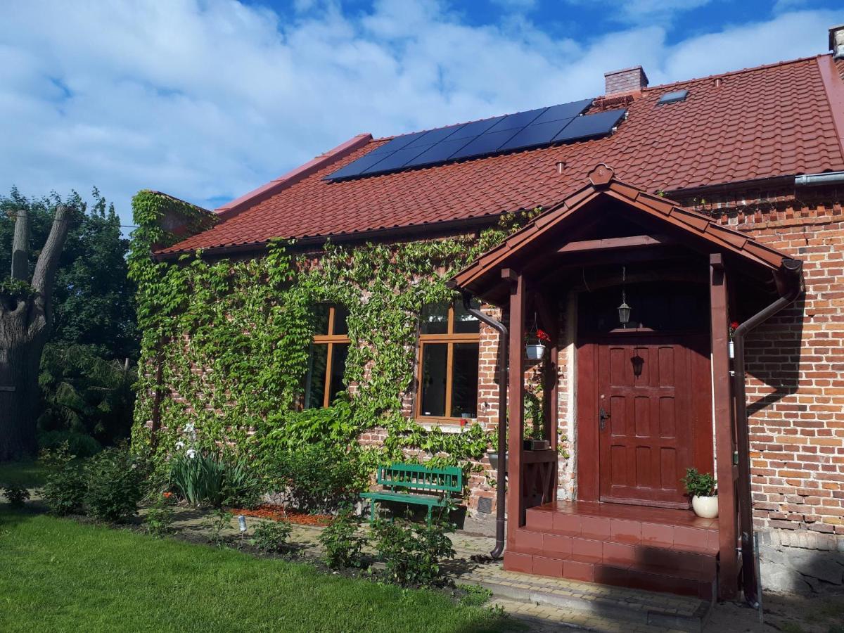 Agroturystyka Druzno Elblag Ngoại thất bức ảnh